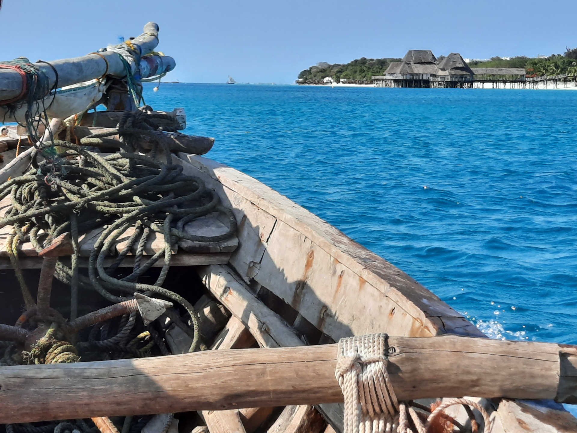 zanzibar-excursions-safaris